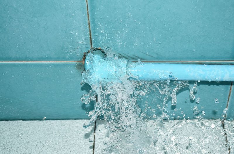 Leaky Shower Repair in Denver, CO